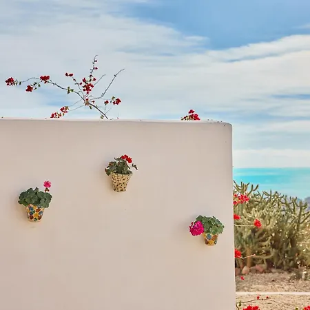 Farm stay Cortijo La Loma By Olivencia *