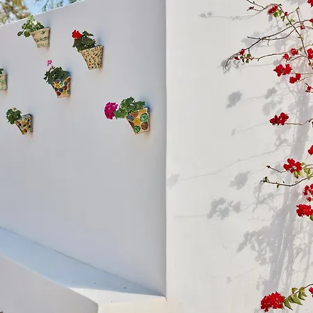 Farm stay Cortijo La Loma By Olivencia *